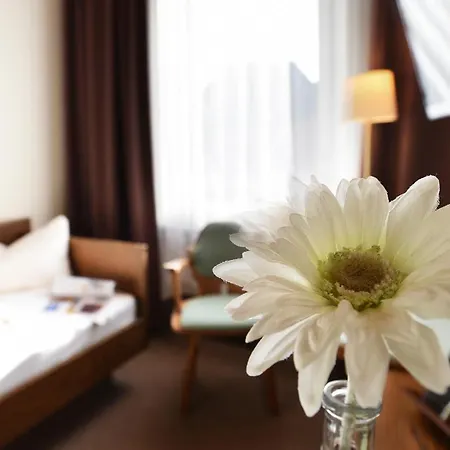 Hotel & Goldener Hirsch Bad Berneck im Fichtelgebirge